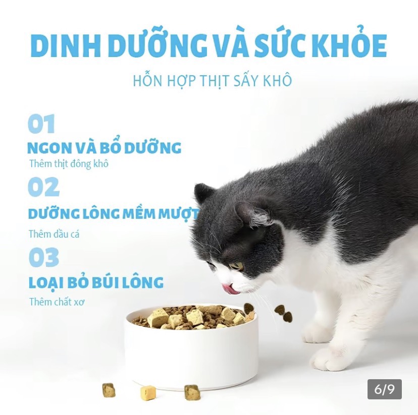 Thức ăn hạt kết hợp thịt sấy cho mèo mọi lứa tuổi MR VET 1KG - Siêu dinh dưỡng , giá rẻ