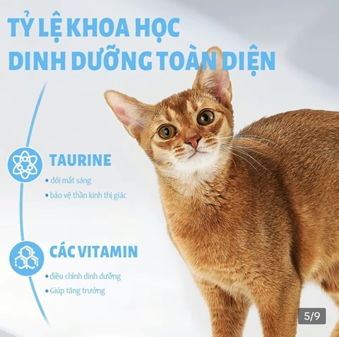 Thức ăn hạt kết hợp thịt sấy cho mèo mọi lứa tuổi MR VET 1KG - Siêu dinh dưỡng , giá rẻ