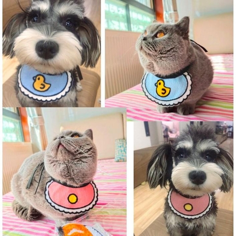 Yếm cute , ngộ nghĩnh