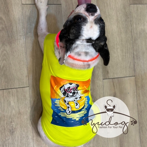 Áo thun chó đốm